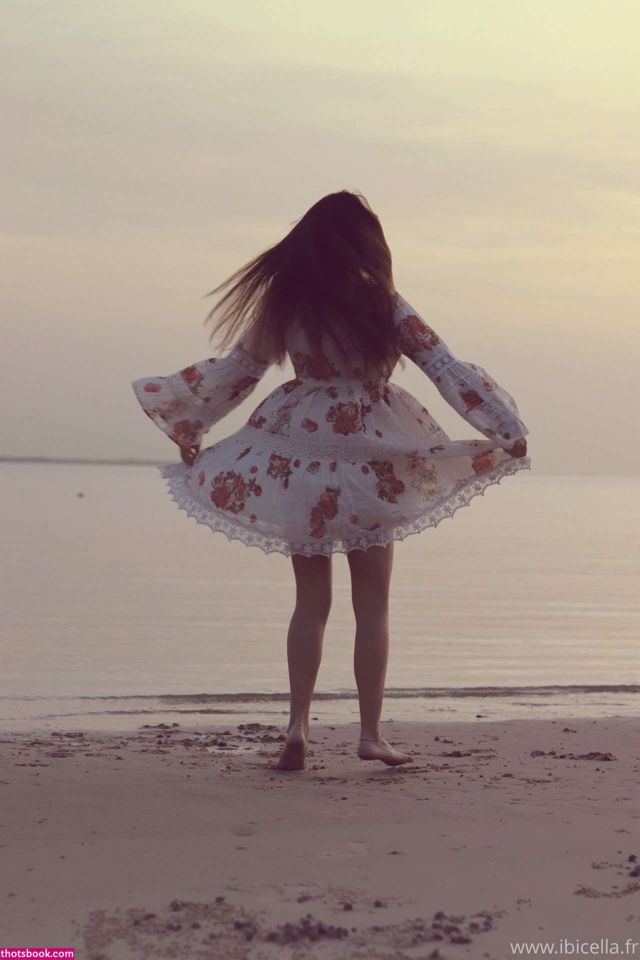 Ibicella Fr Photo #122