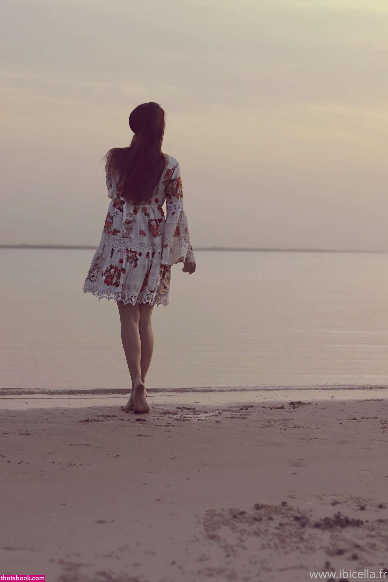 Ibicella Fr Photo #125