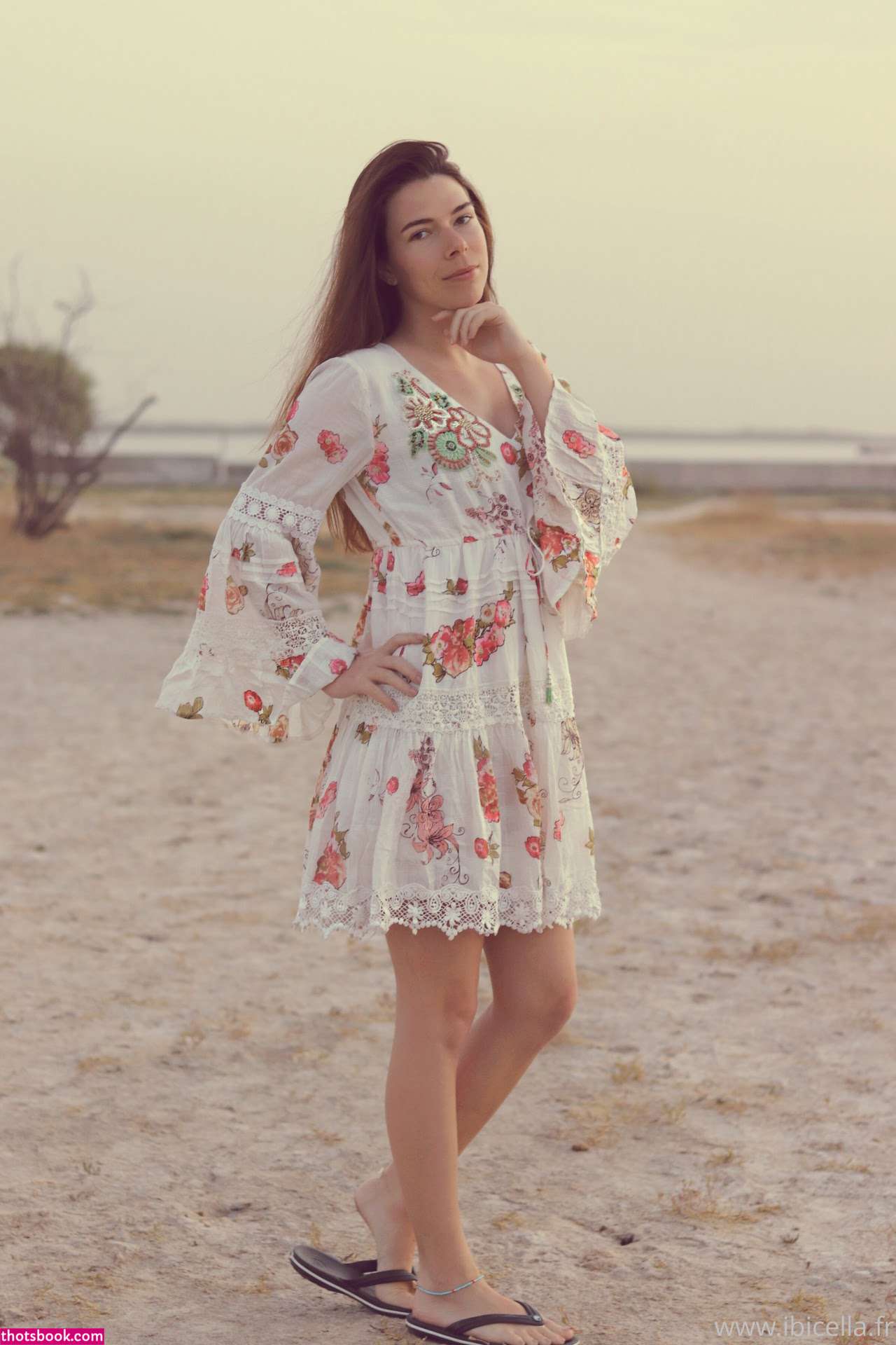 Ibicella Fr Photo #128