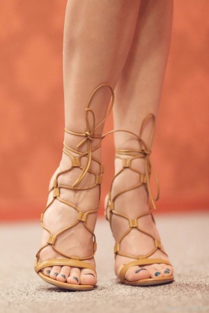 Ibicella Fr Photo #137