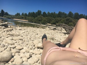 Ibicella Fr Photo #174