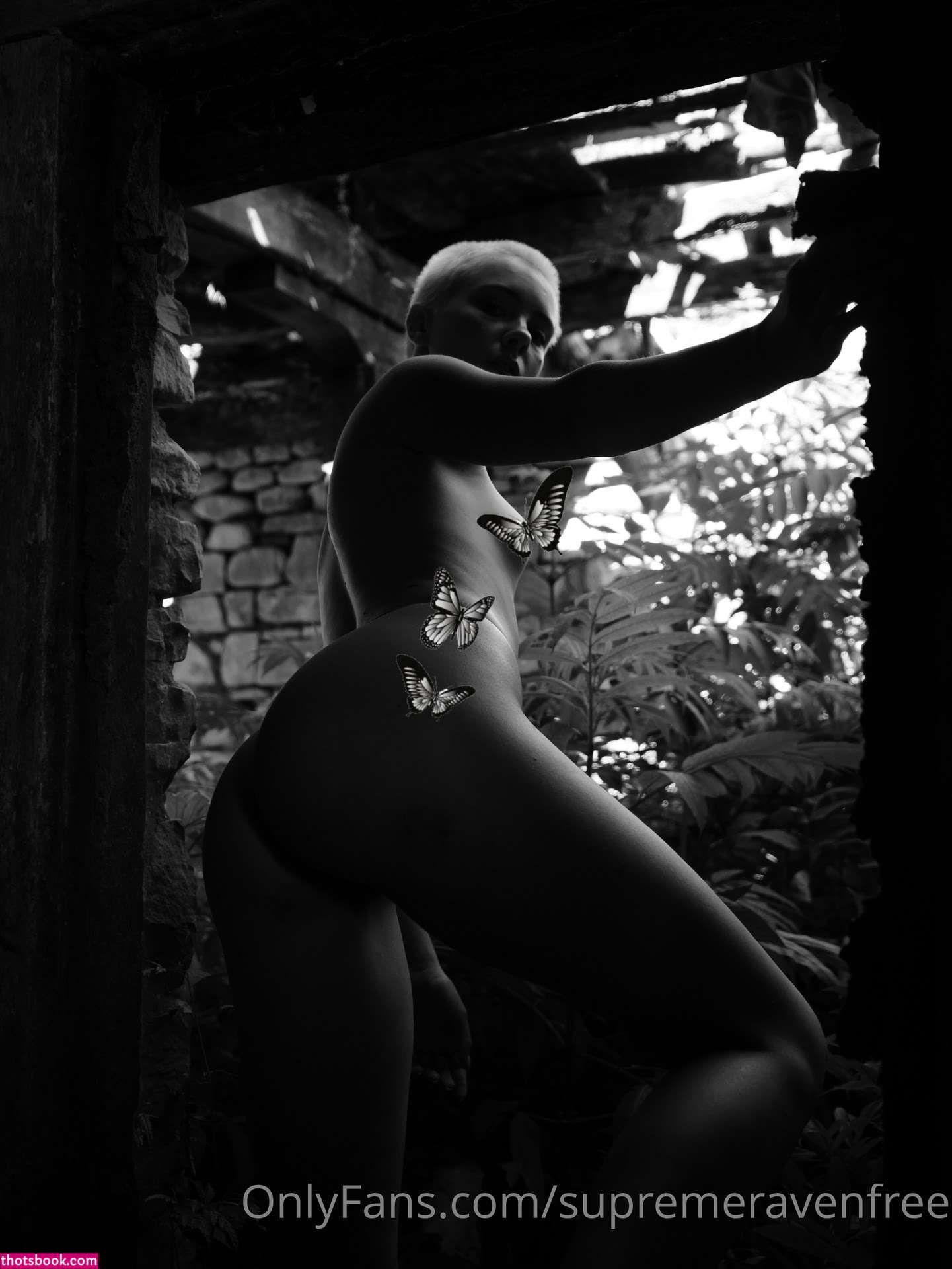 supremeraven Photo #71