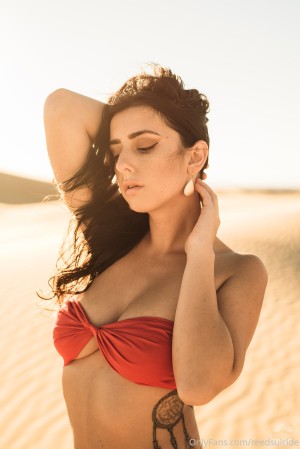 Reed Suicide Post #3