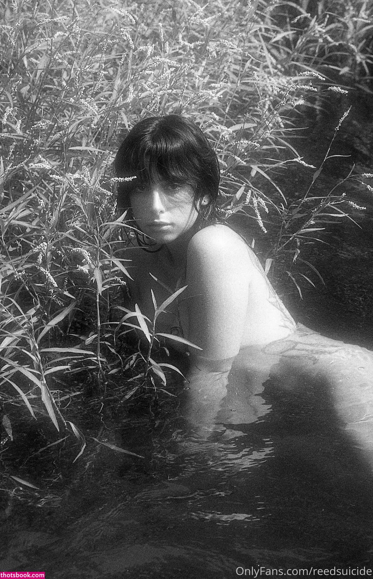 Reed Suicide Photo #126