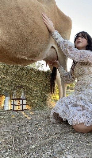 Reed Suicide Photo #153