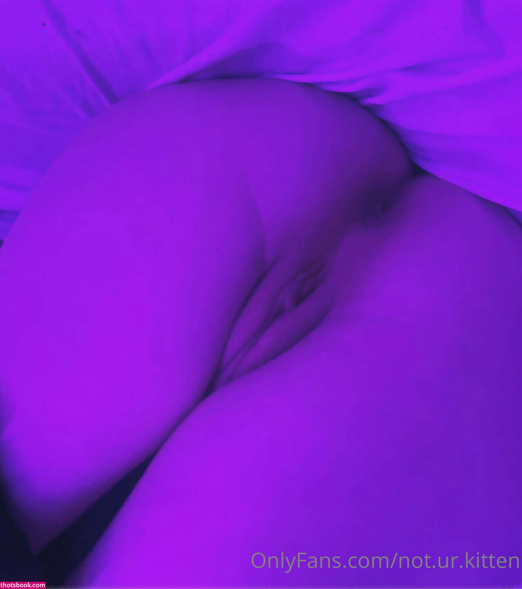 urkittenuwu Photo #173