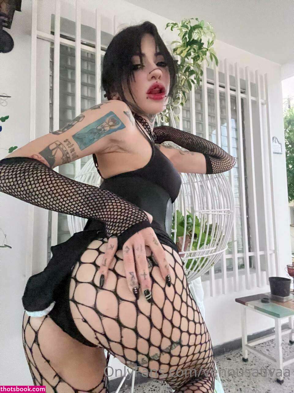 Vennussativa Photo #4