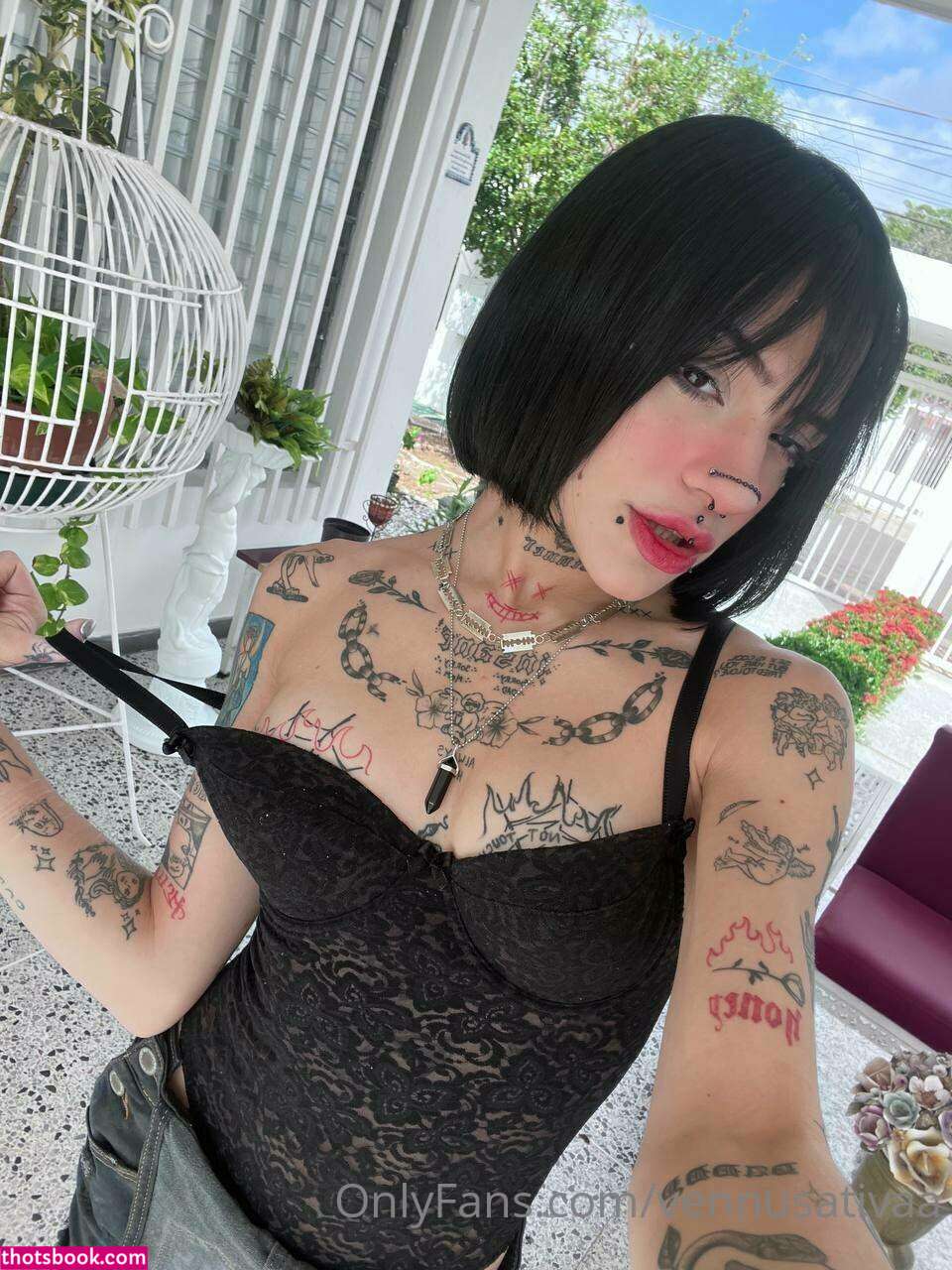 Vennussativa Photo #7