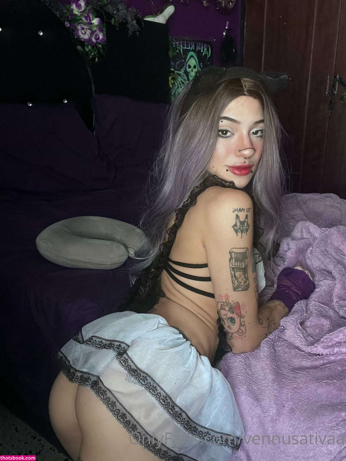 Vennussativa Photo #64