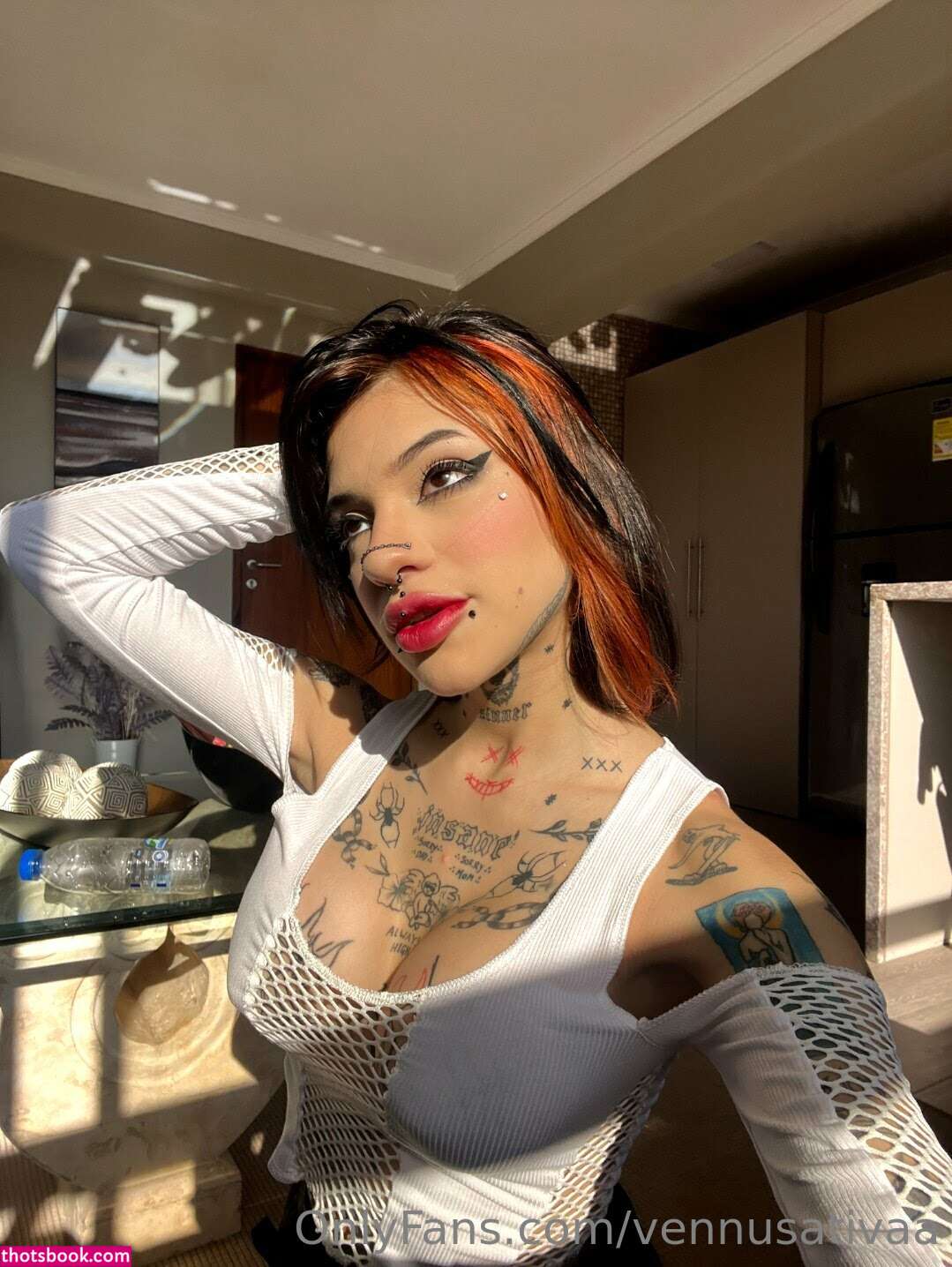 Vennussativa Photo #90