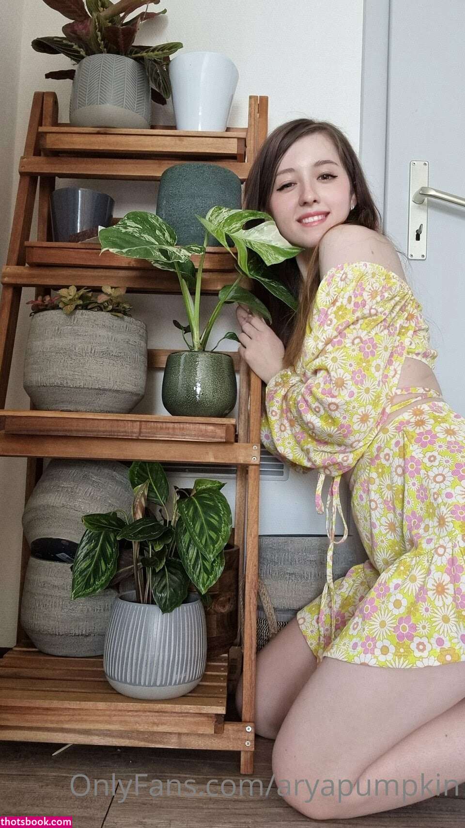 Aryapumpkin Photo #11