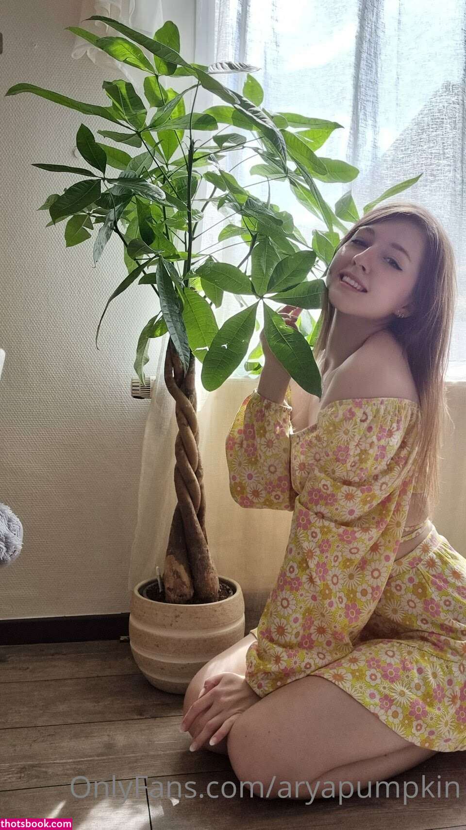 Aryapumpkin Photo #19