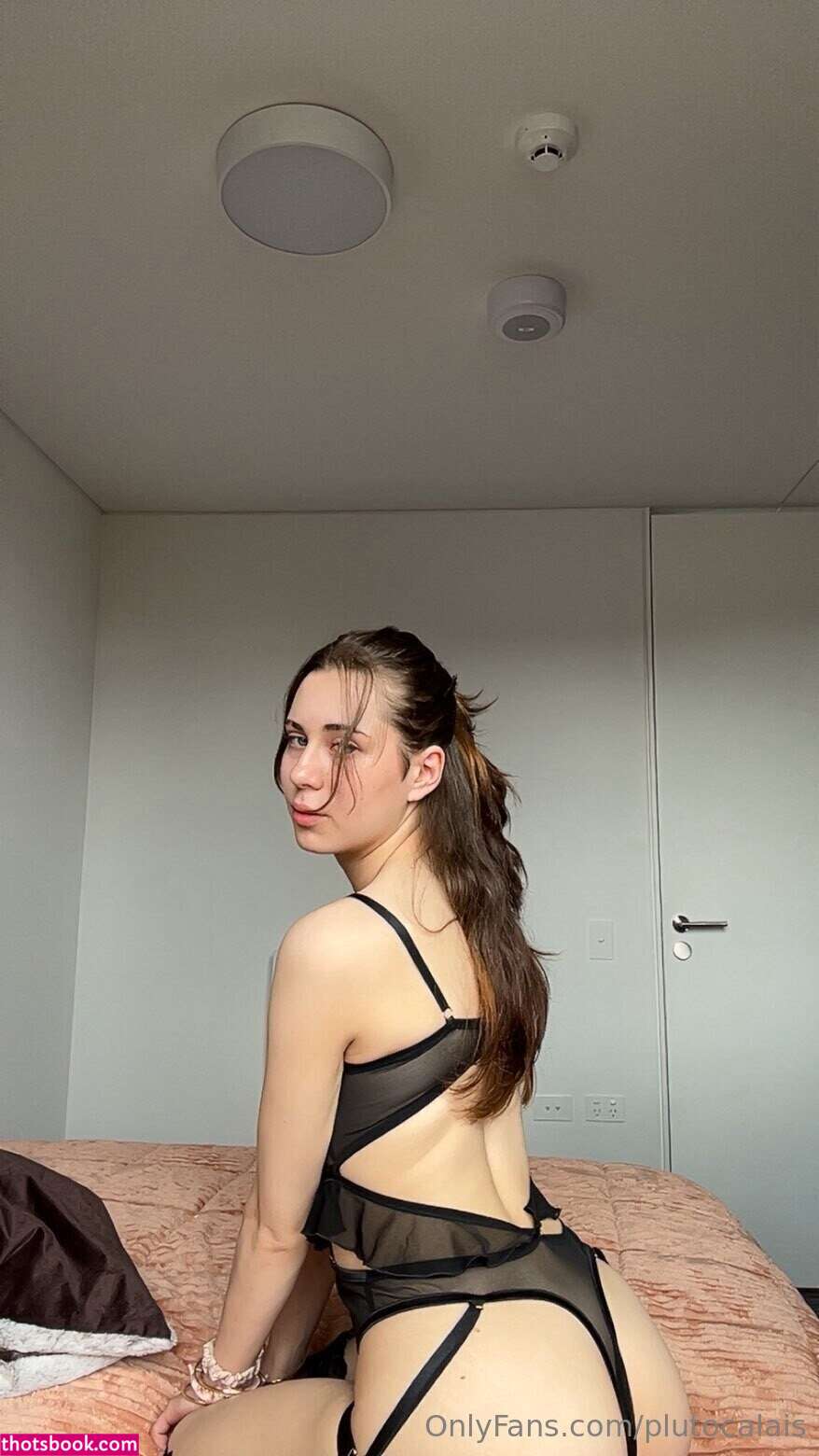 plutocalais Photo #11