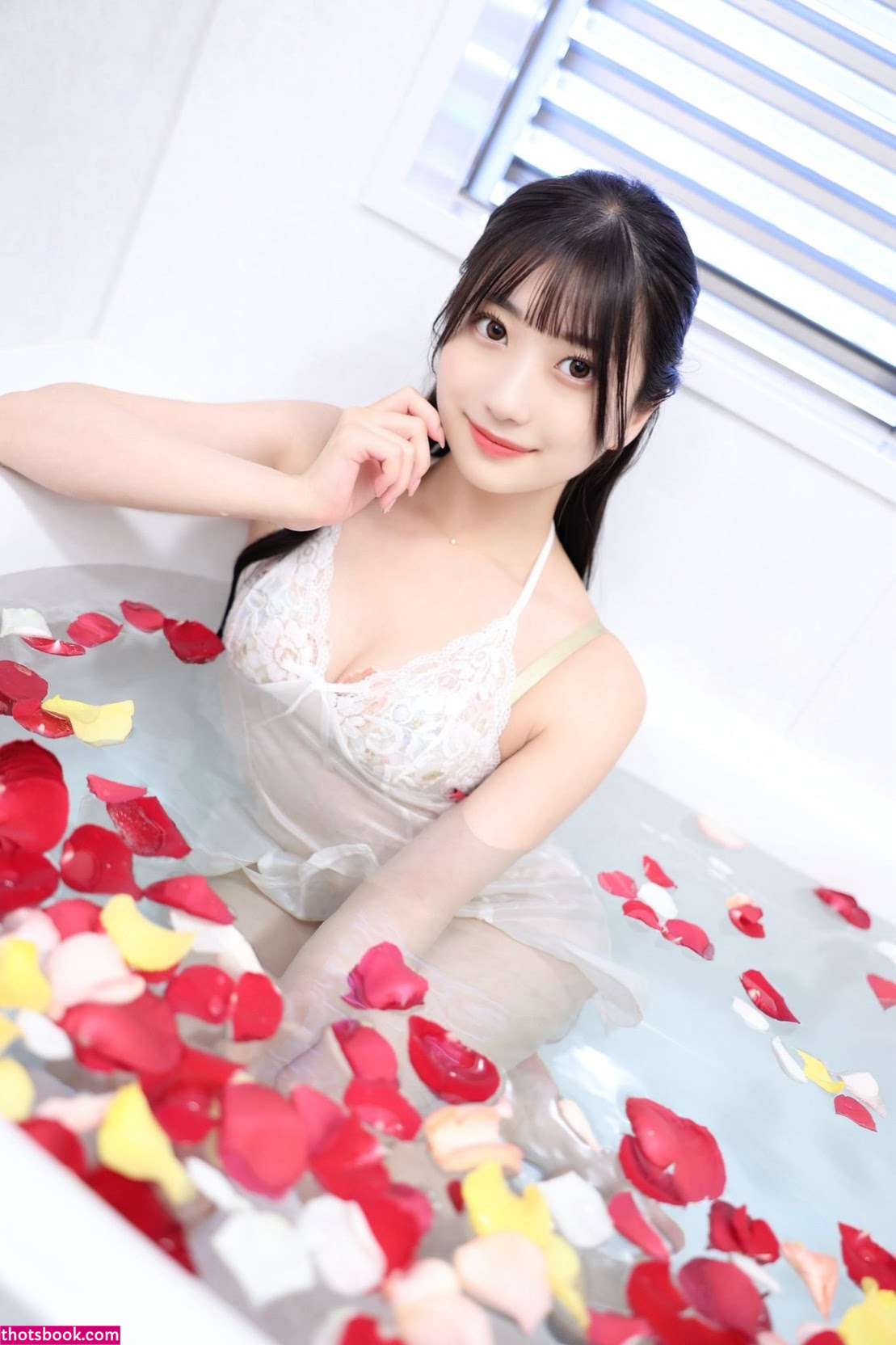 goperamarika2 Photo #14