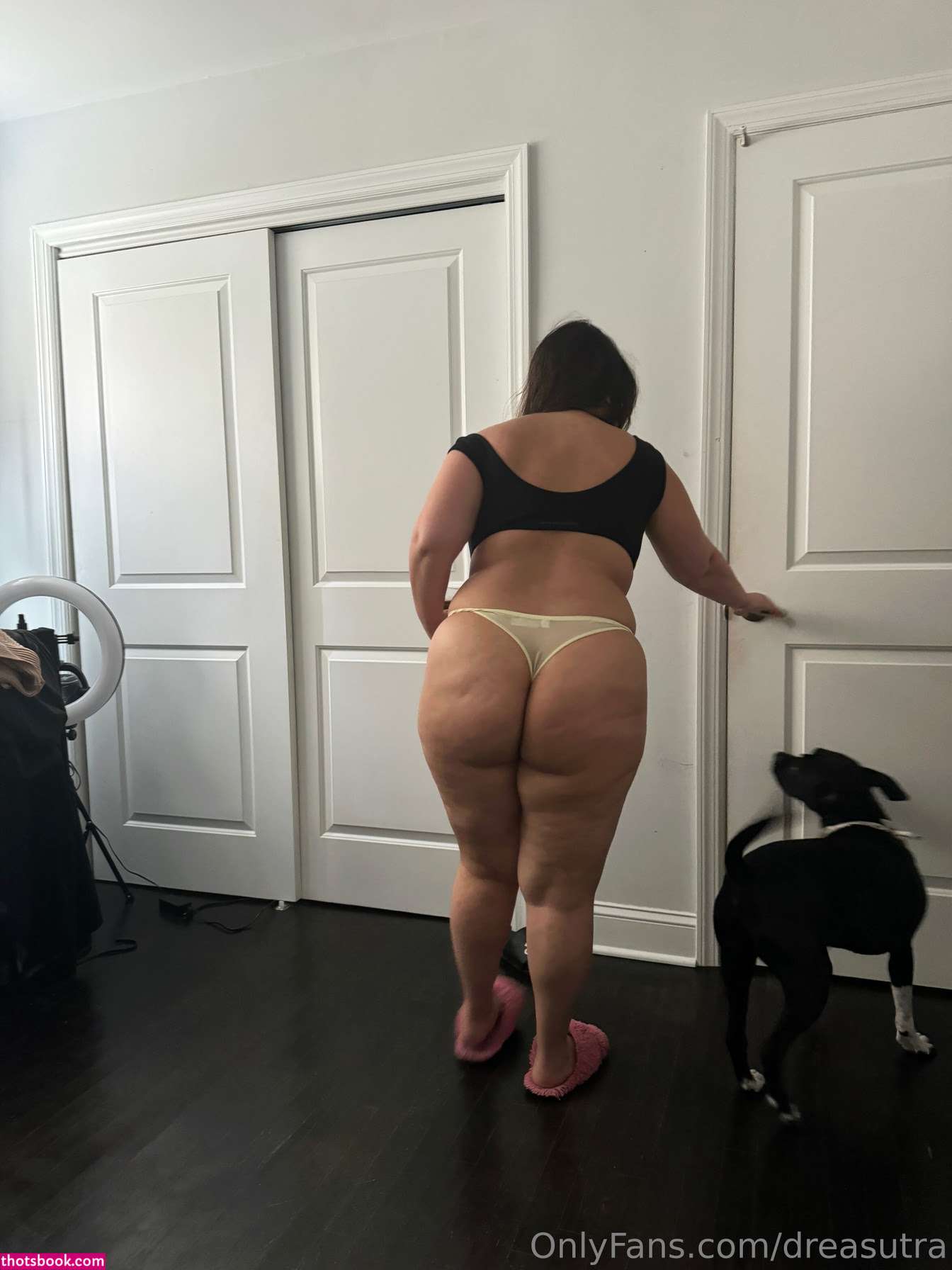 Yungparchita Photo #32