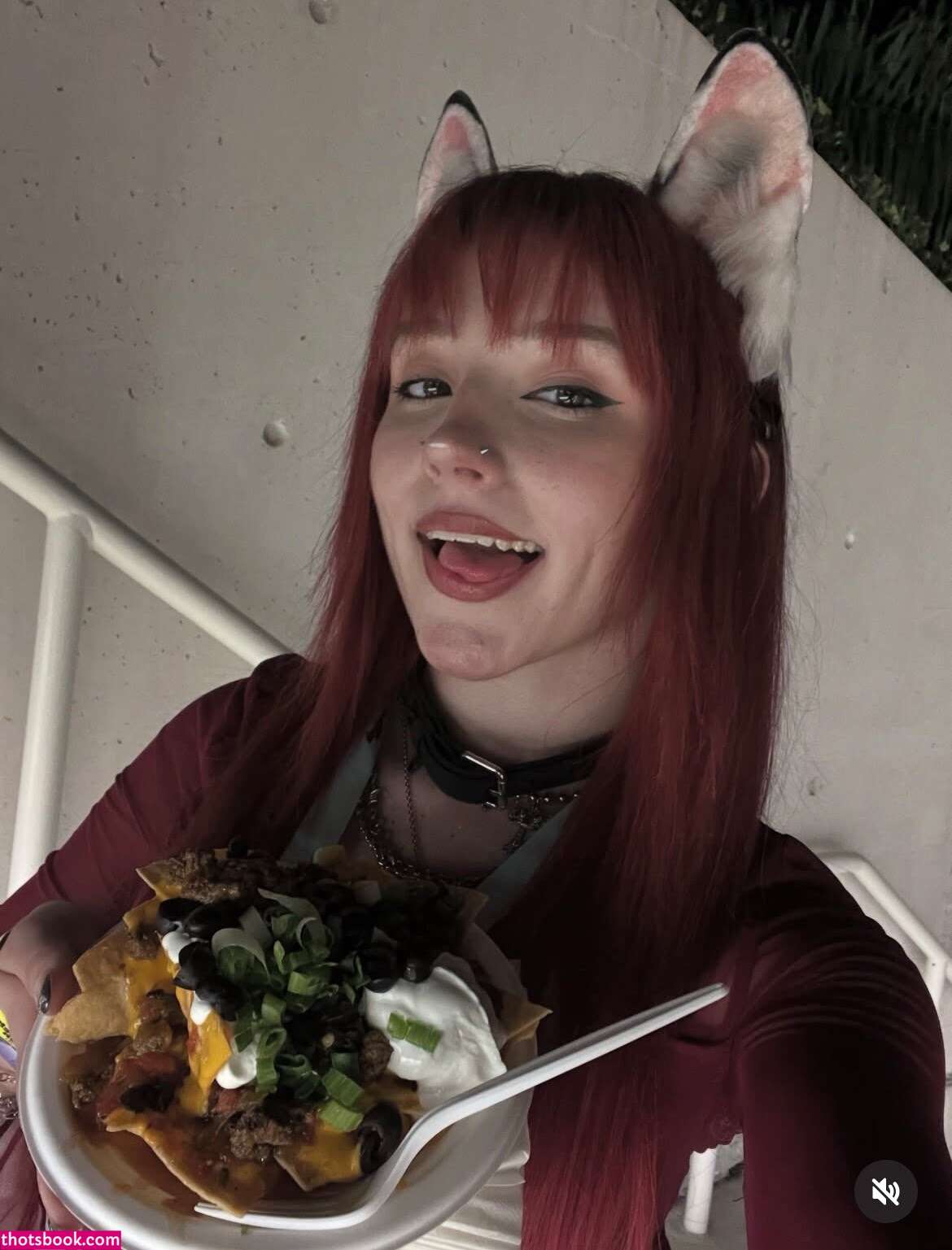 Moronic Mouse Photo #4