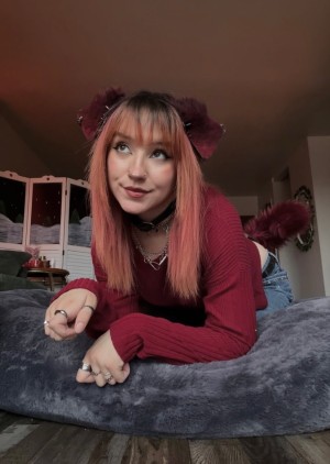 Moronic Mouse Photo #21