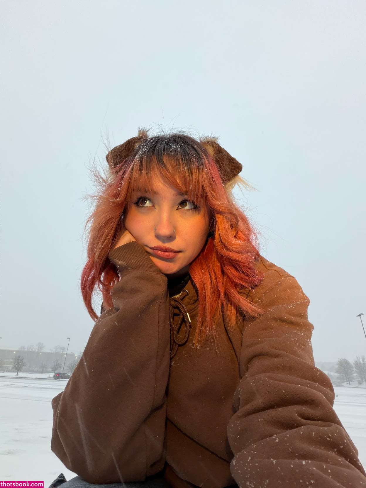 Moronic Mouse Photo #26