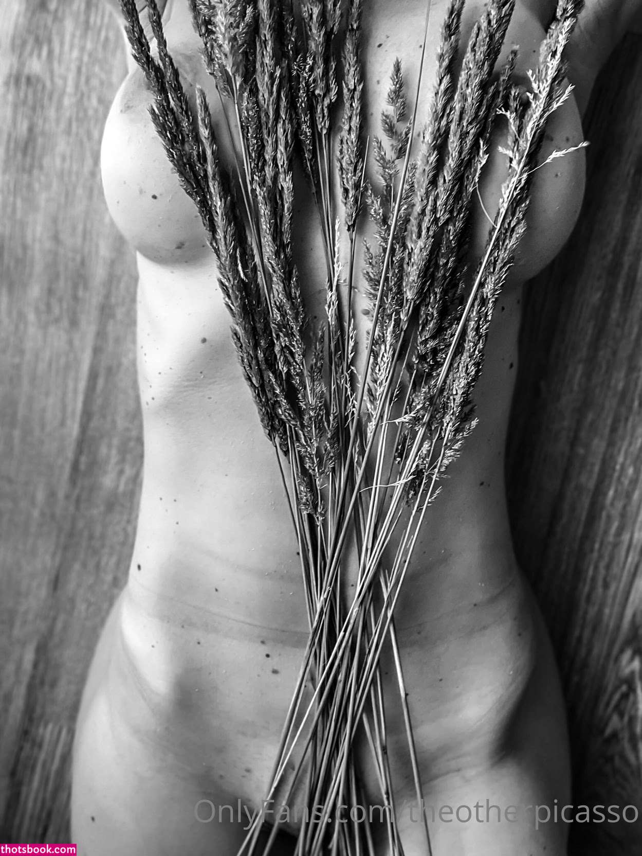 Theotherpicasso Photo #20