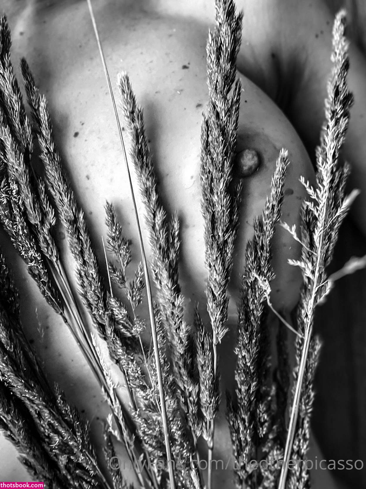 Theotherpicasso Photo #21