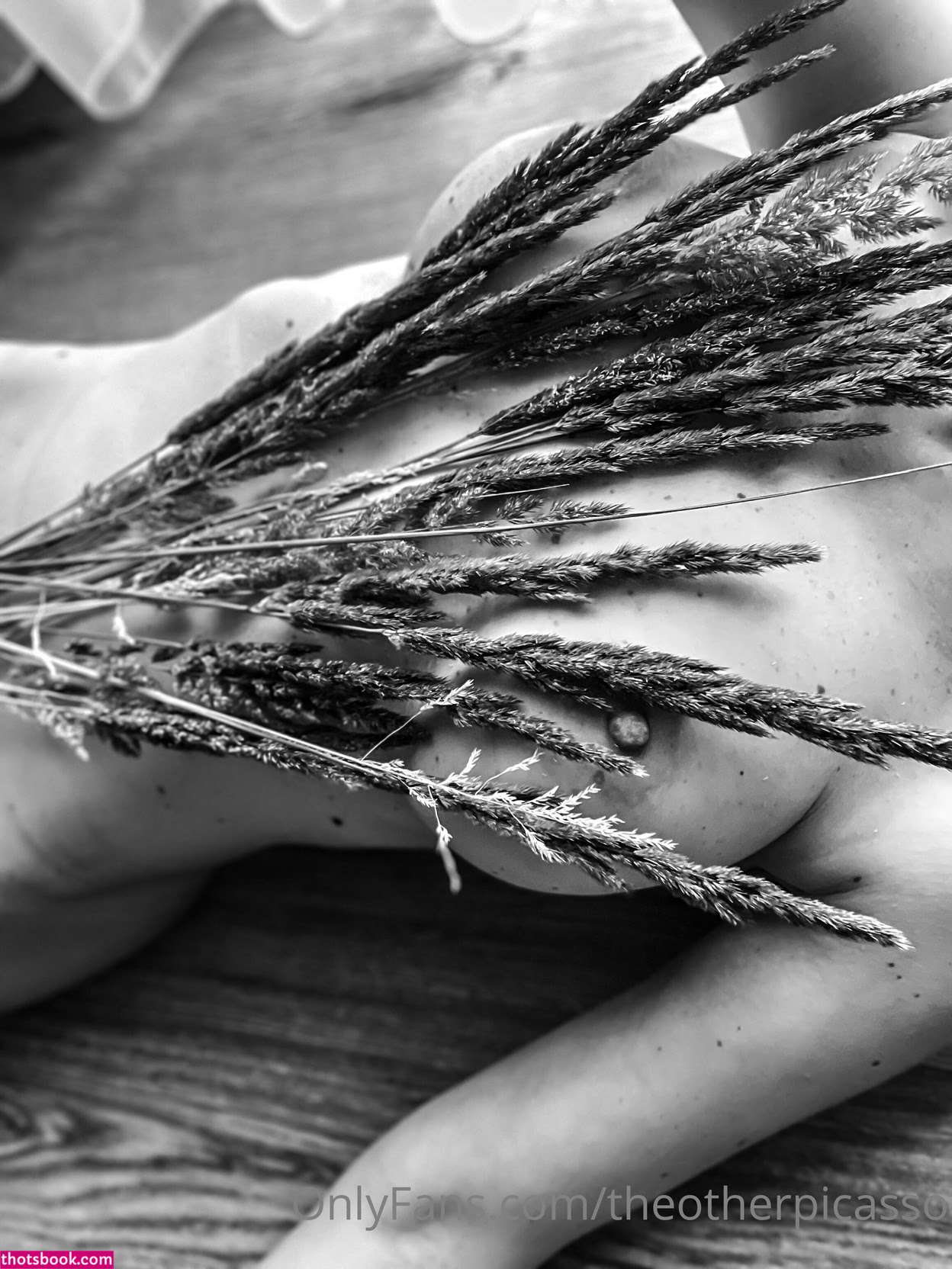 Theotherpicasso Photo #28