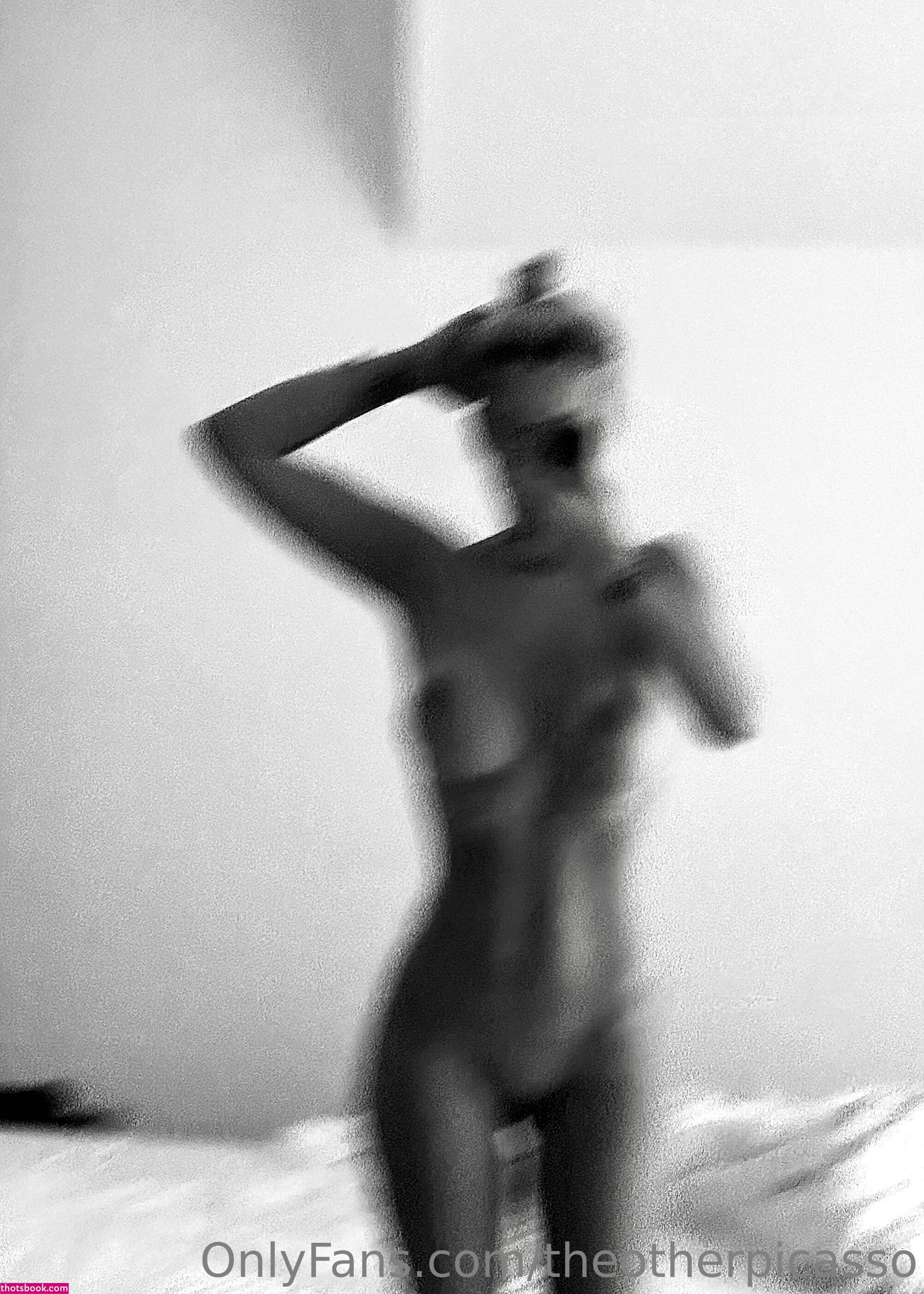 Theotherpicasso Photo #62