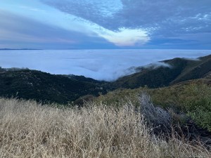 tightfun83 Photo #18