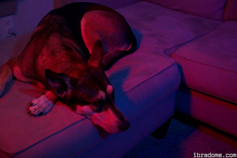 Sabrina Nichole Photo #141