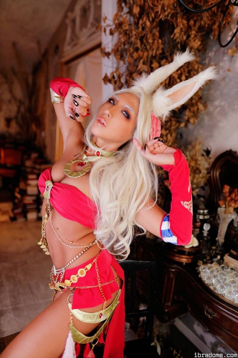 Creator Photo #22739