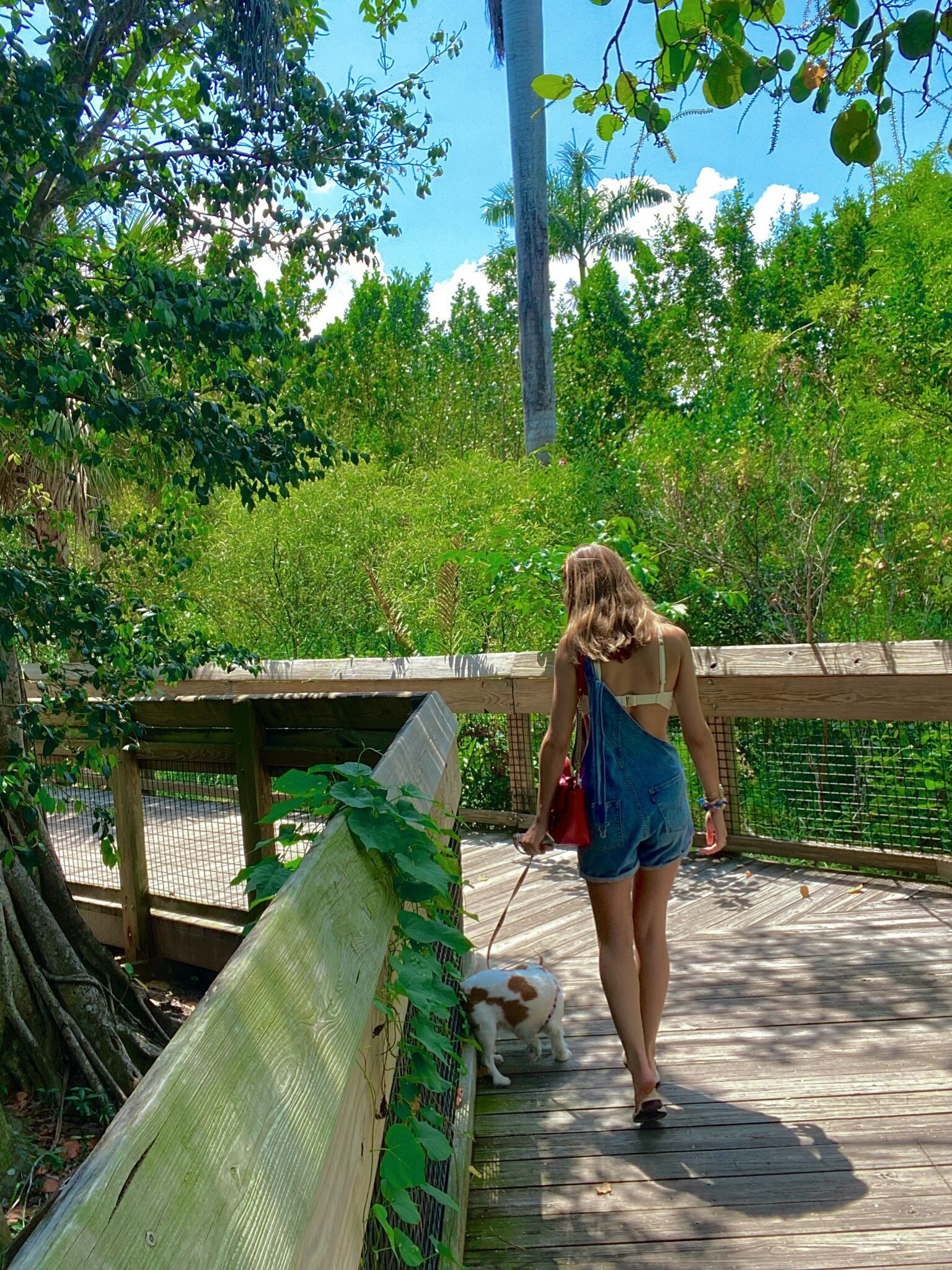 Ashley Tervort Photo #837