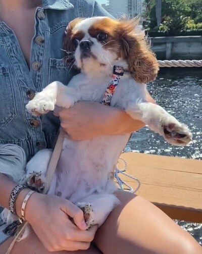 Ashley Tervort Photo #626