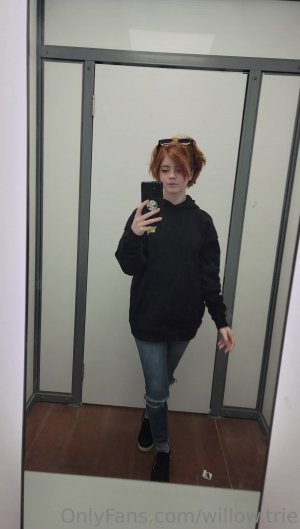 Willow Trie Photo #50