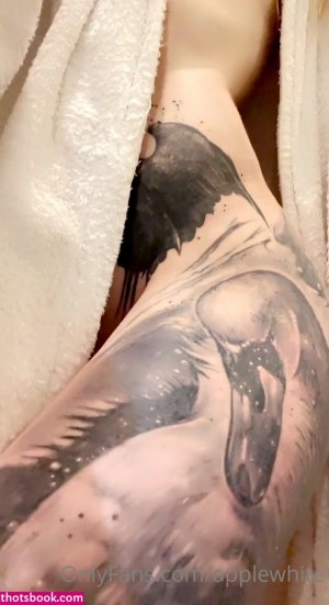 Applewhite Video #27