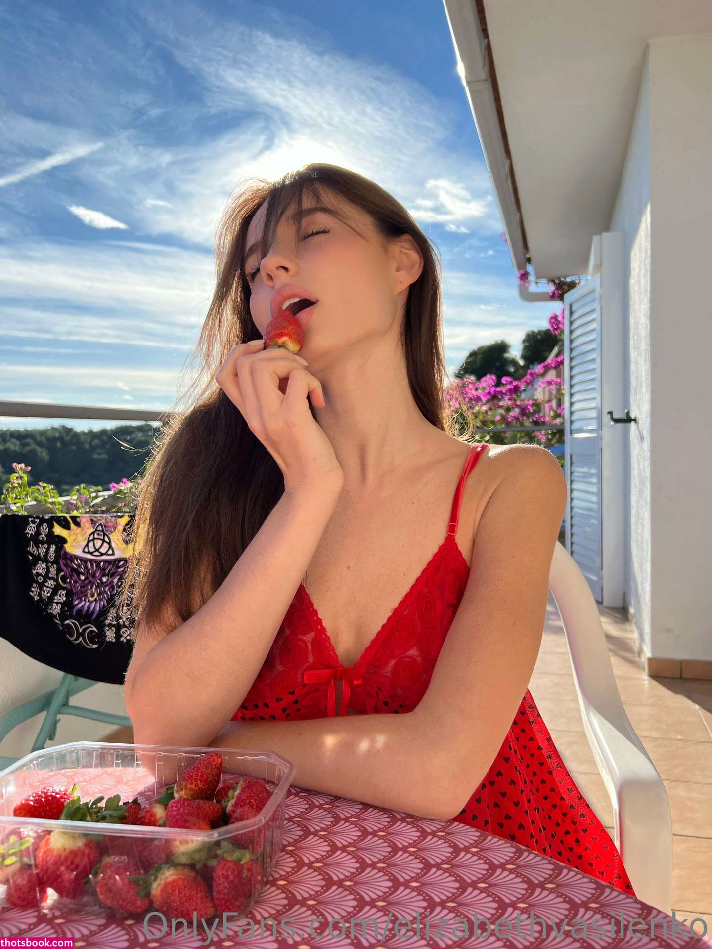 Elizabeth Vasilenko Photo #27