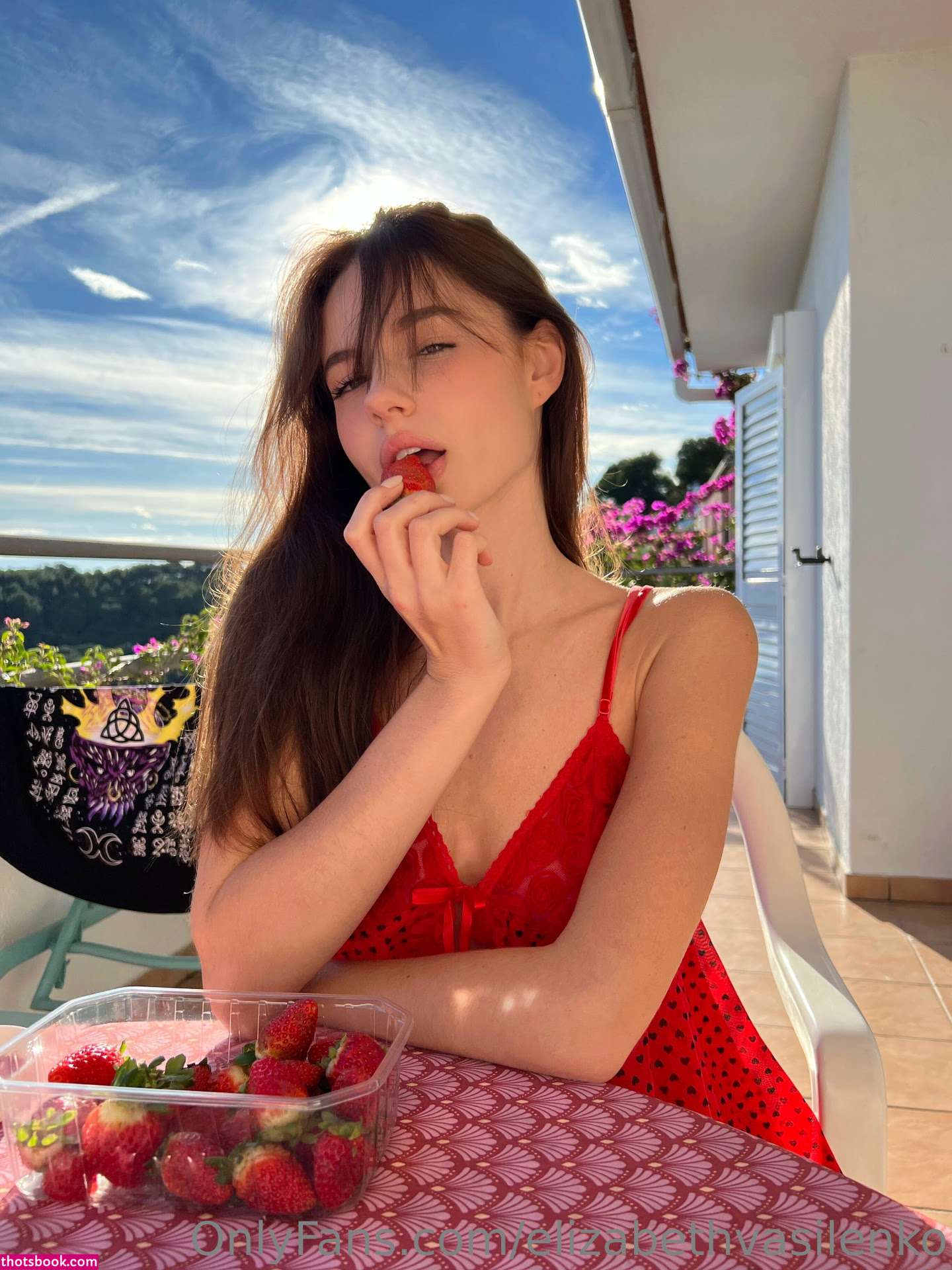 Elizabeth Vasilenko Photo #41