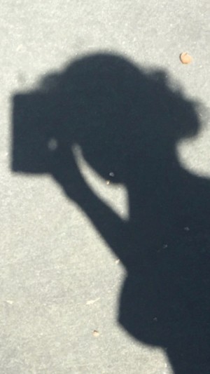 breannacyoung Photo #33