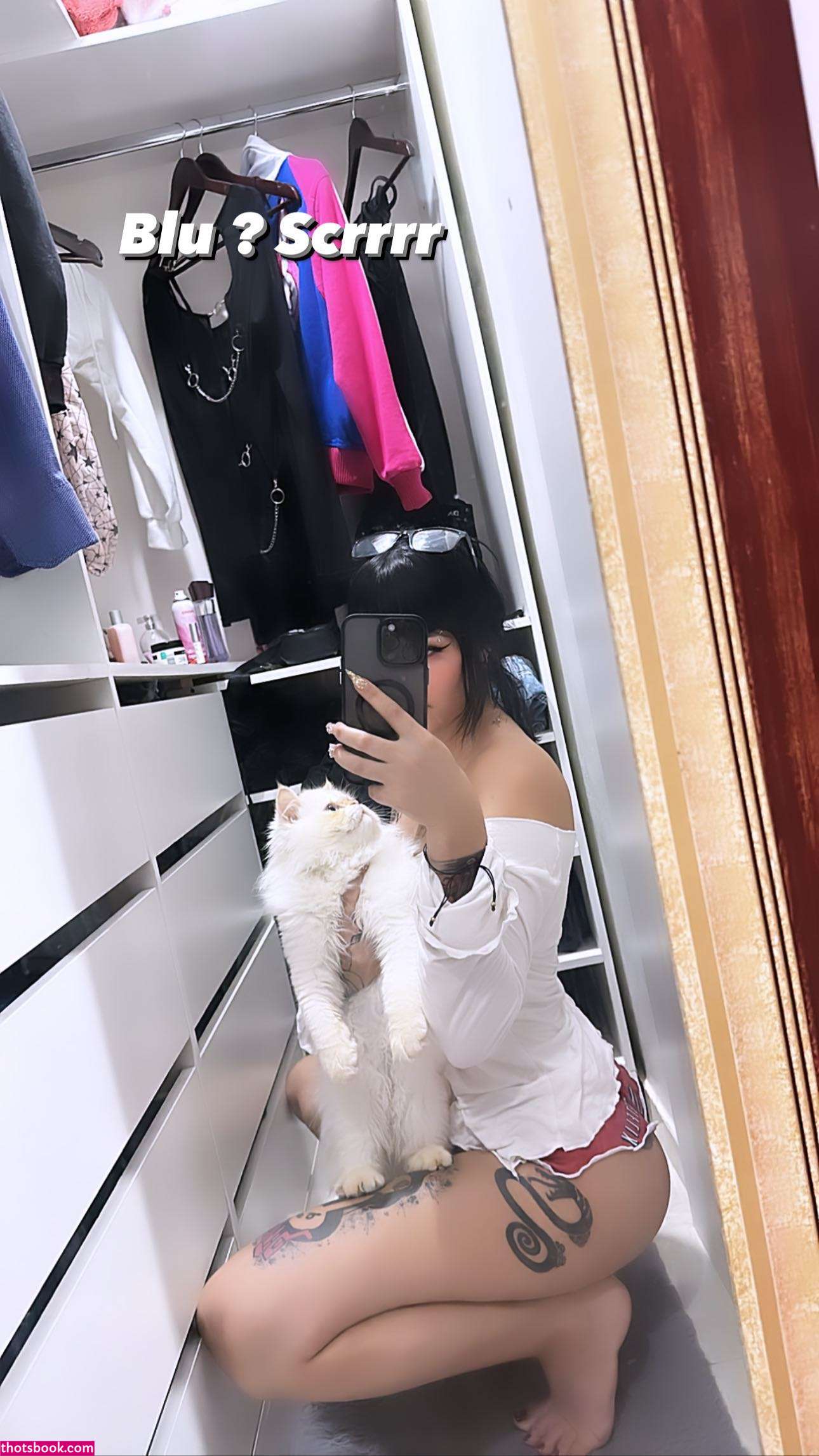 Yasmim Cat Photo #61