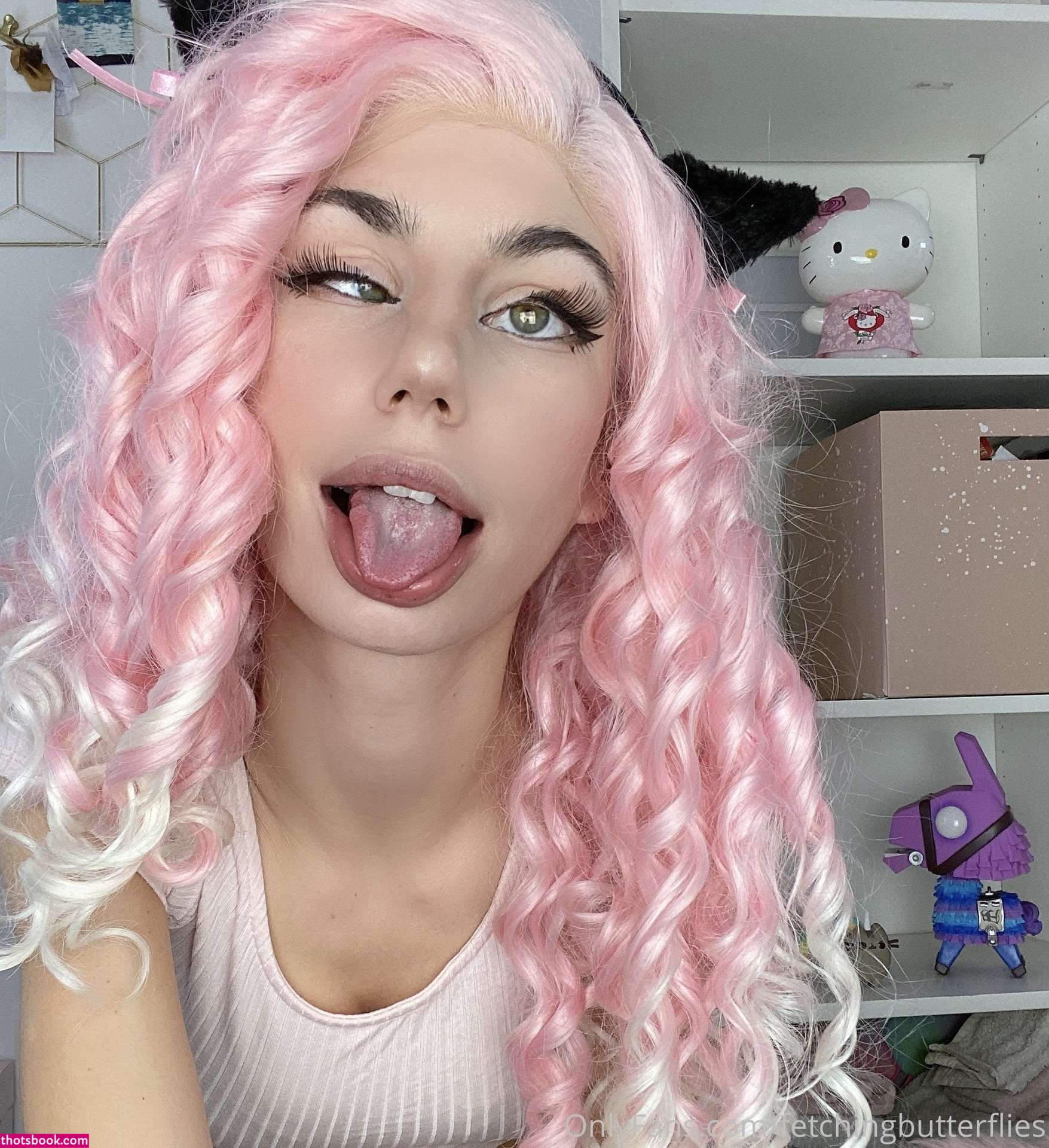 Fetching Butterflies Photo #33