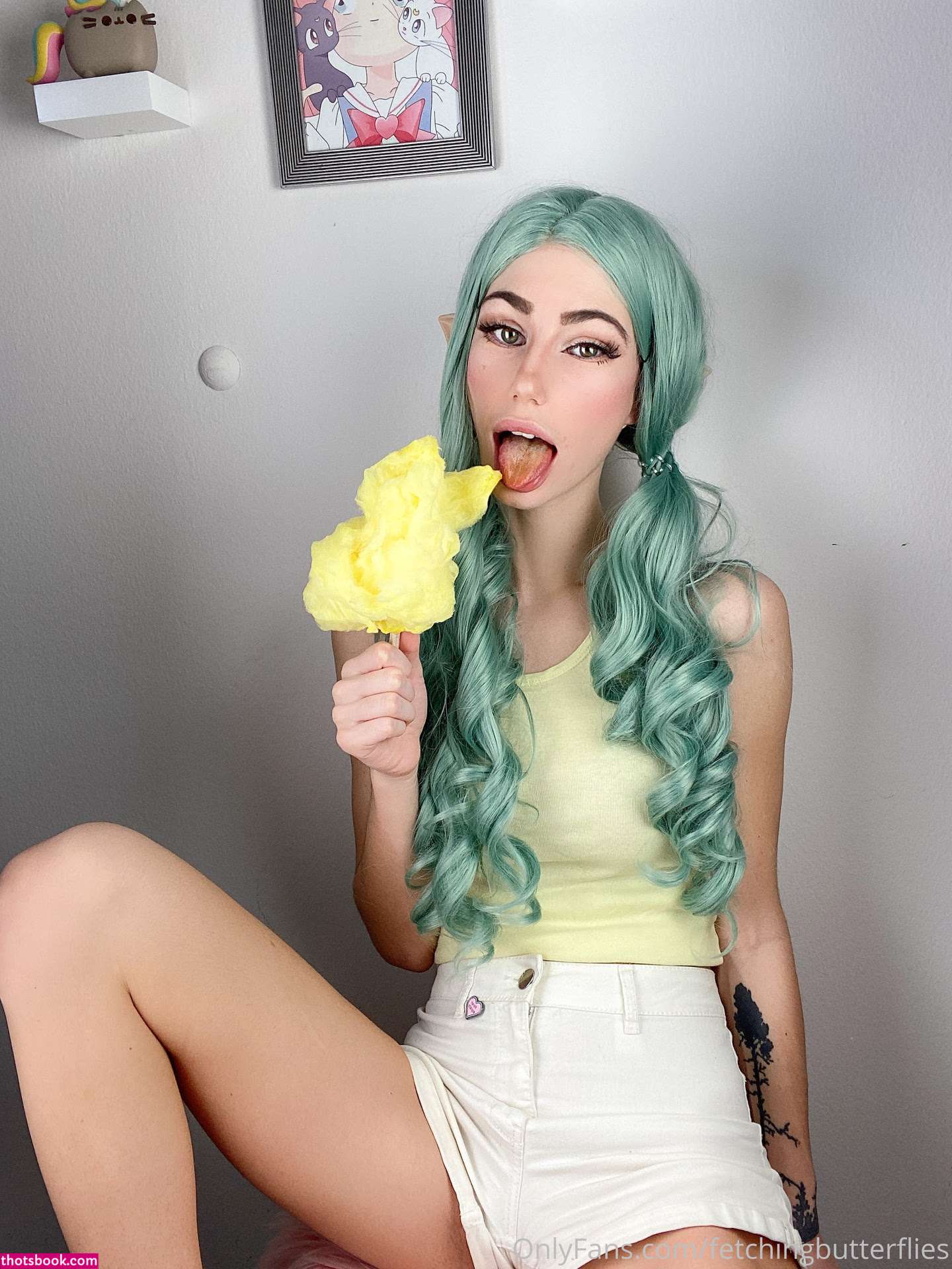 Fetching Butterflies Photo #64