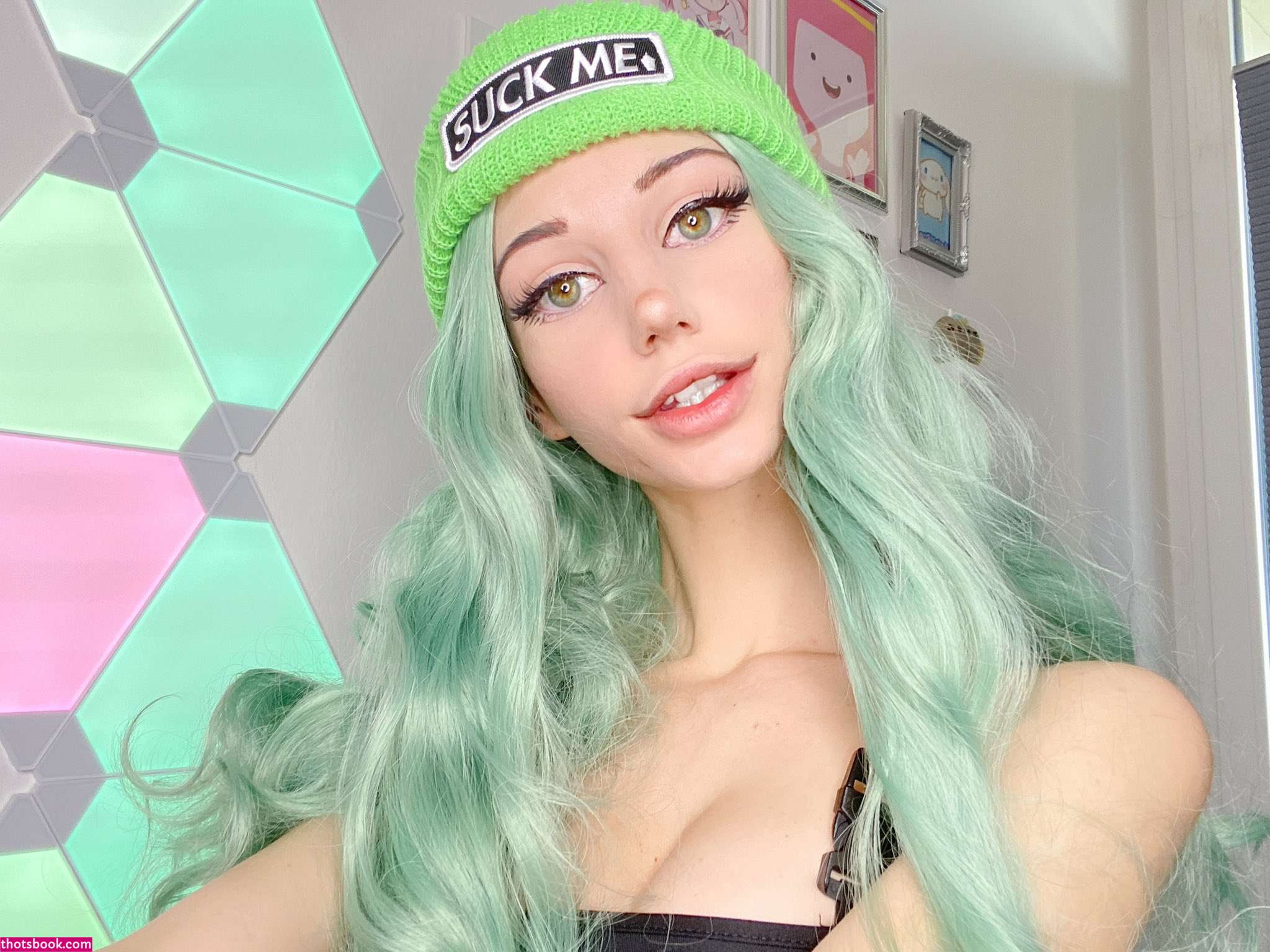 Fetching Butterflies Photo #114