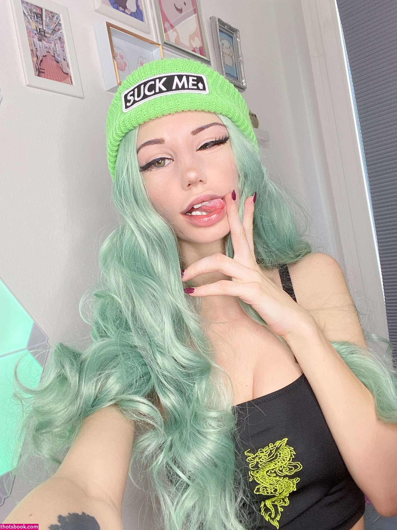 Fetching Butterflies Photo #115