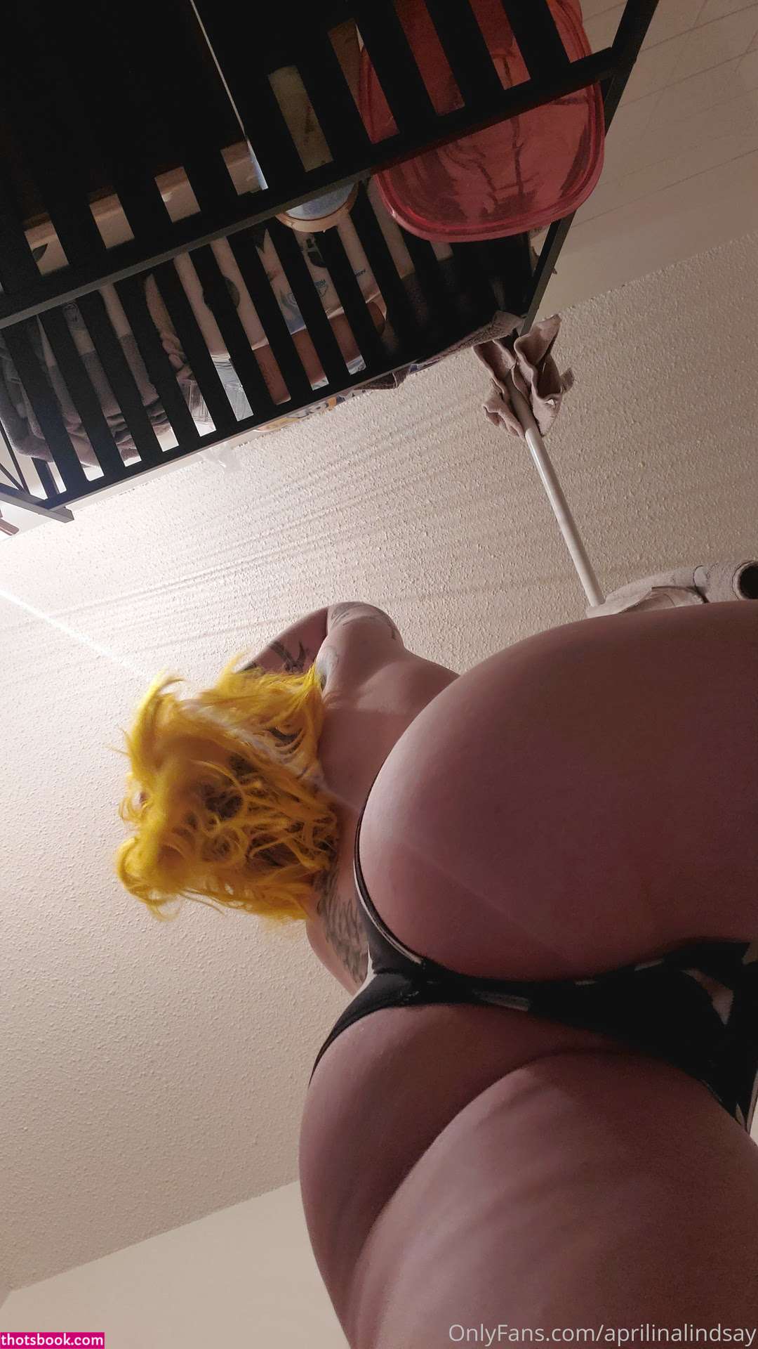 aprilinalindsay Photo #398