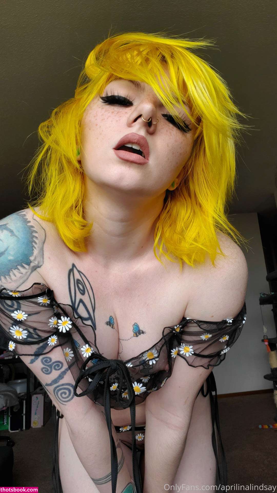 aprilinalindsay Photo #423