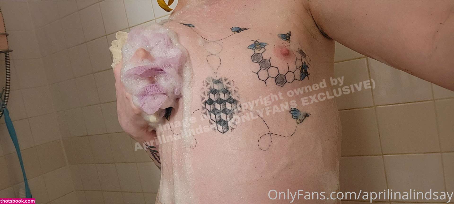 aprilinalindsay Photo #464