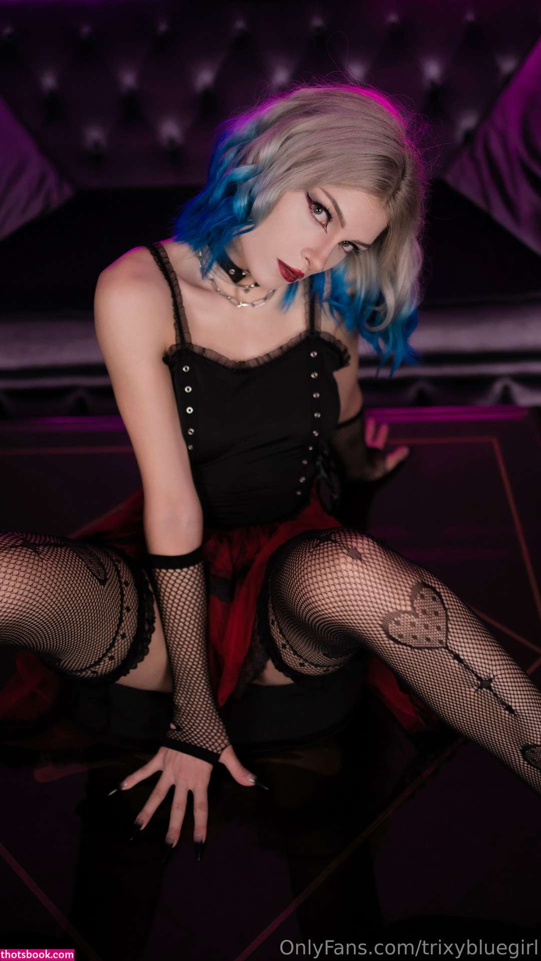 Trixy Blue Photo #170