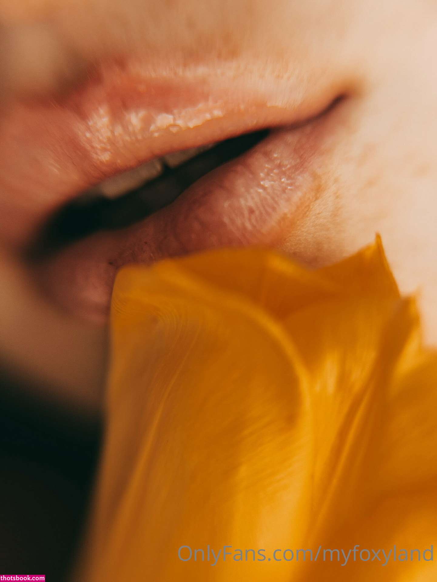 Myfoxyland Photo #16