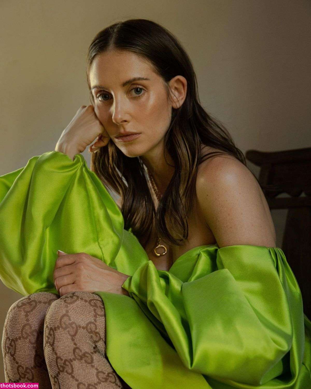 Alison Brie Photo #46