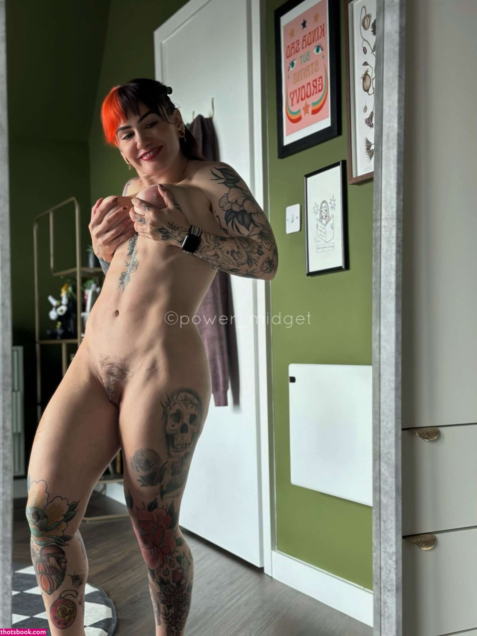 Power Midget Photo #17