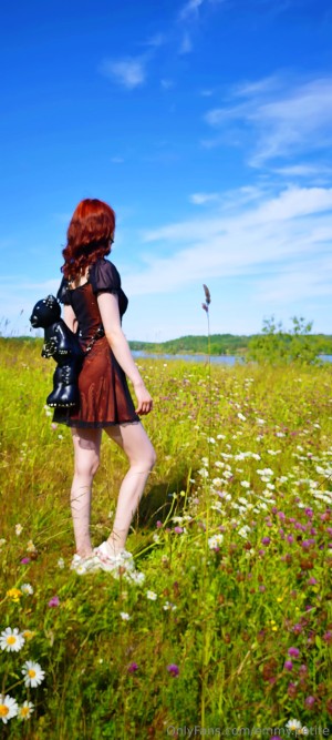 petitescandinavian04 Photo #13