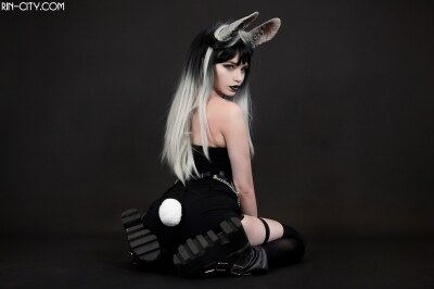 Creator Photo #21995